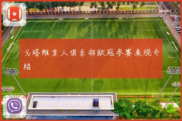 戈塔维京人俱乐部欧冠参赛表现介绍