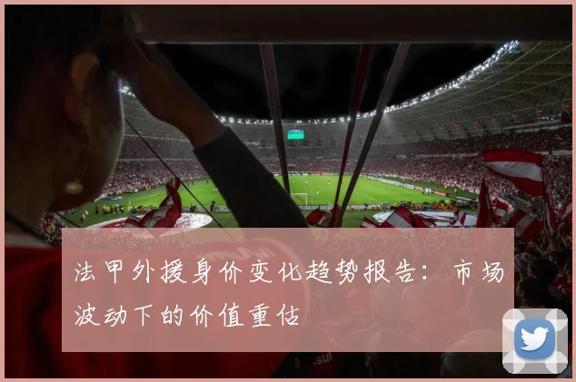法甲外援身价变化趋势报告：市场波动下的价值重估