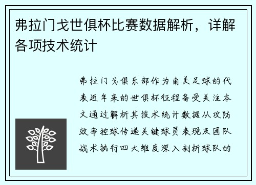 弗拉门戈世俱杯比赛数据解析，详解各项技术统计